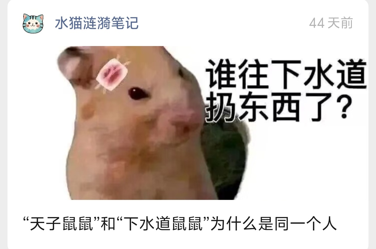 封面 · C2